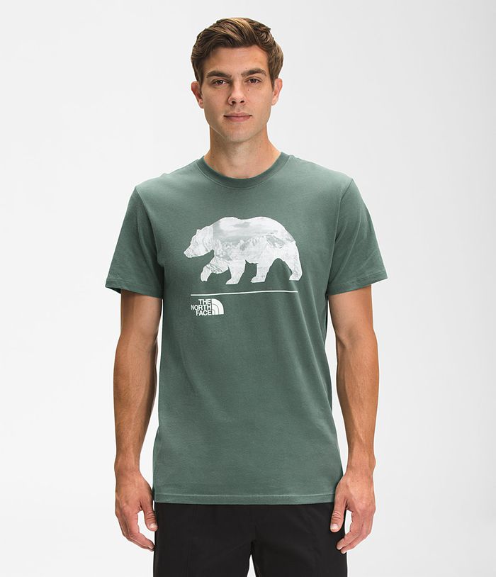 Camiseta The North Face Hombre Verde Bearscape Manga corta 89720DHPZ